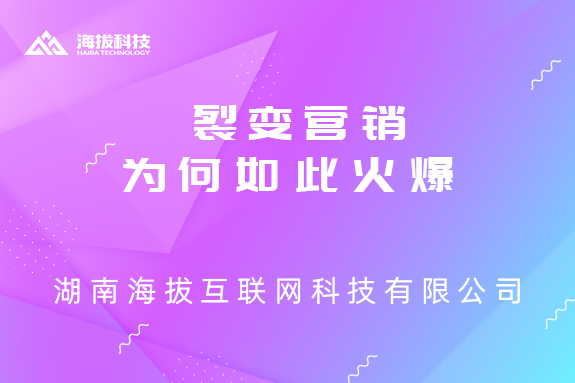 长沙分销小程序开发公司：裂变营销为何如此火