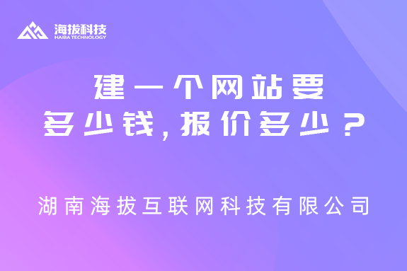 长沙开发公司建一个网站要多少钱？报价多少？